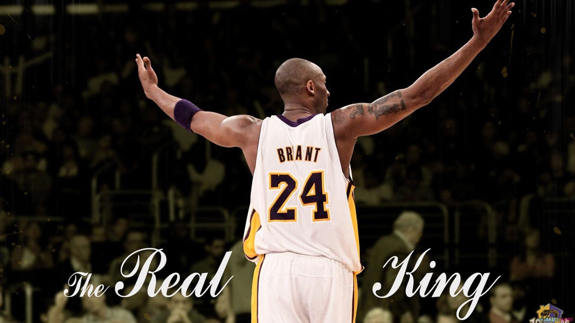 伦纳德爆发，当热火模式战胜深圳队式困局